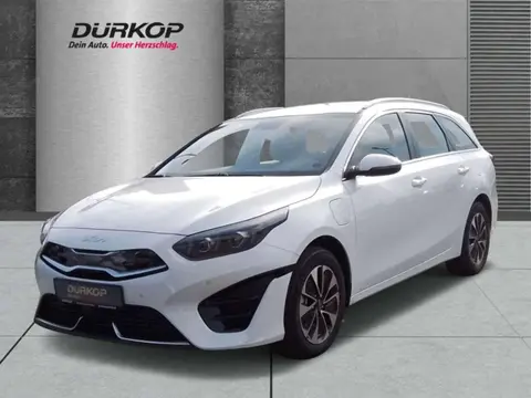 Annonce KIA CEED Hybride 2024 d'occasion 