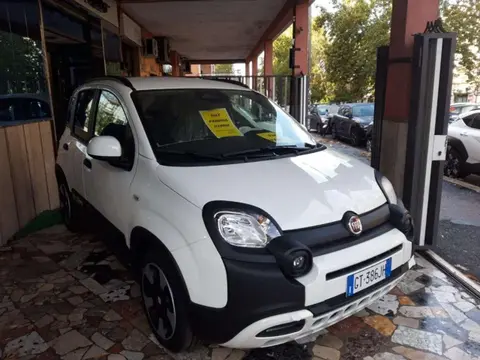 Annonce FIAT PANDA Hybride 2024 d'occasion 