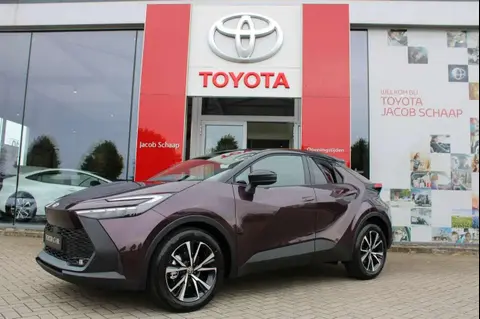 Used TOYOTA C-HR Hybrid 2024 Ad 