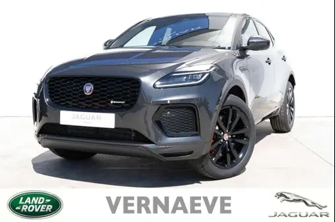 Used JAGUAR E-PACE Hybrid 2023 Ad 