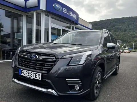 Annonce SUBARU FORESTER Essence 2024 d'occasion 