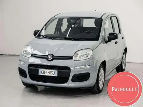 Annonce FIAT PANDA Hybride 2022 d'occasion 