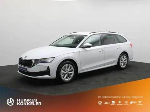 Used SKODA OCTAVIA Petrol 2024 Ad 