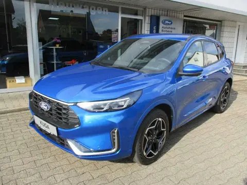 Annonce FORD KUGA Hybride 2024 d'occasion 