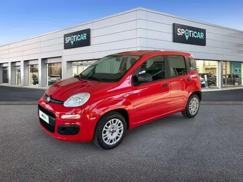 Annonce FIAT PANDA GPL 2019 d'occasion 