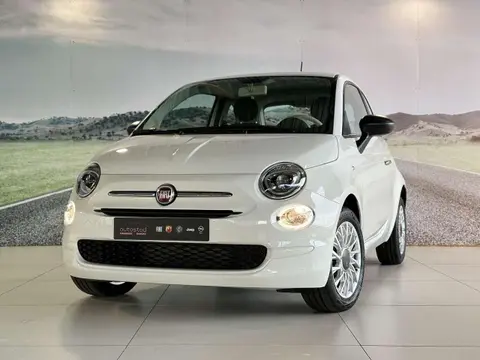 Used FIAT 500 Petrol 2023 Ad 