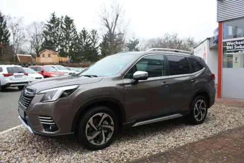 Annonce SUBARU FORESTER Essence 2024 d'occasion 