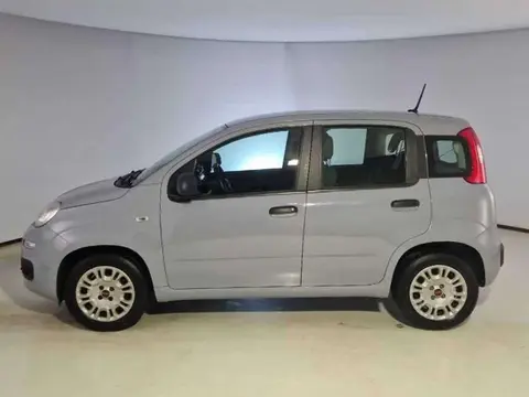 Used FIAT PANDA Petrol 2020 Ad 