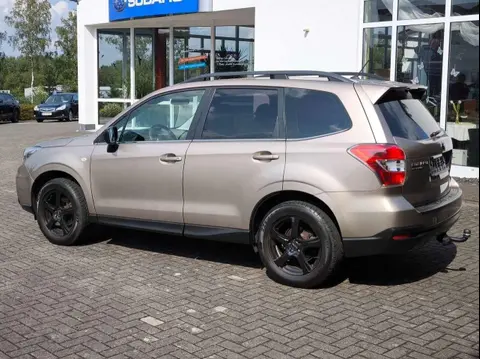 Annonce SUBARU FORESTER Diesel 2014 d'occasion 