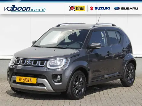 Annonce SUZUKI IGNIS Essence 2024 d'occasion 