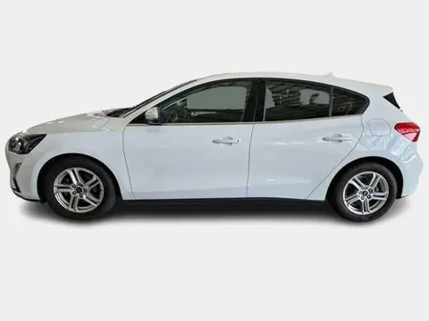 Used FORD FOCUS Diesel 2020 Ad 