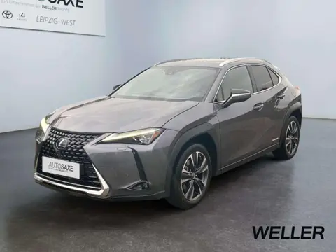 Used LEXUS UX Hybrid 2021 Ad Germany