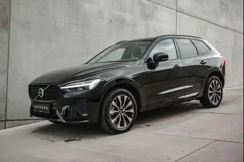 Annonce VOLVO XC60 Essence 2023 d'occasion Belgique