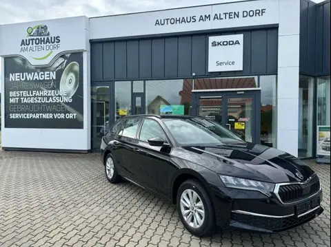 Used SKODA OCTAVIA Petrol 2024 Ad 