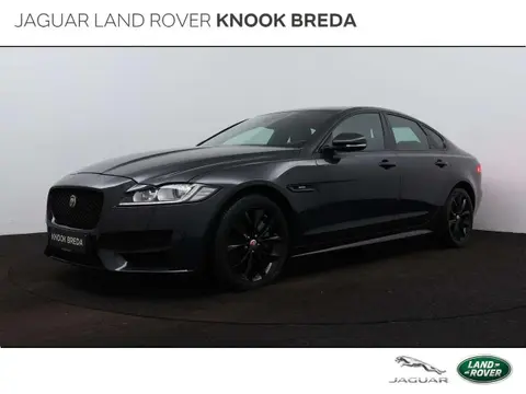 Used JAGUAR XF Petrol 2019 Ad 