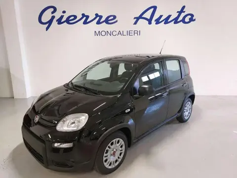 Used FIAT PANDA Hybrid 2024 Ad 