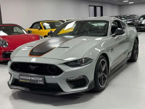 Annonce FORD MUSTANG Essence 2022 d'occasion 