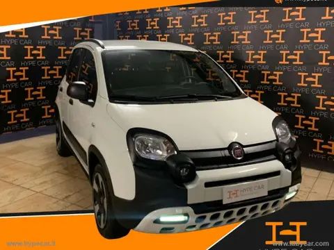 Used FIAT PANDA Hybrid 2022 Ad 