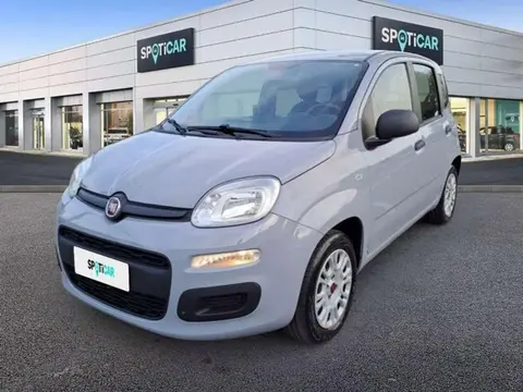 Used FIAT PANDA LPG 2020 Ad Italy