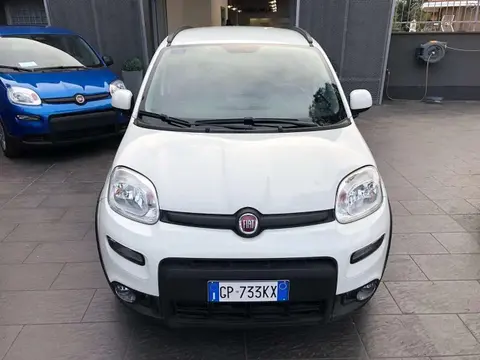 Annonce FIAT PANDA Hybride 2023 d'occasion 