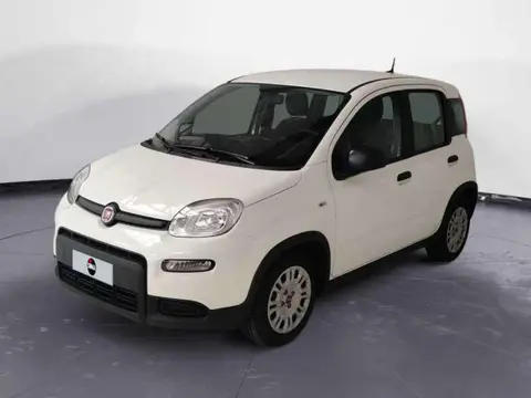 Annonce FIAT PANDA Hybride 2024 d'occasion 