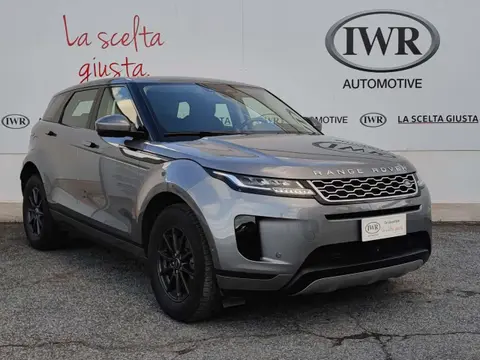 Used LAND ROVER RANGE ROVER EVOQUE Hybrid 2021 Ad 