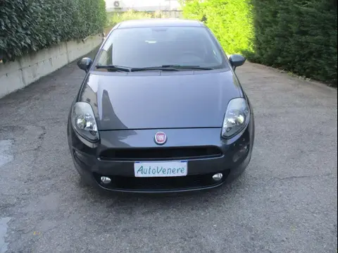 Used FIAT PUNTO Petrol 2018 Ad 