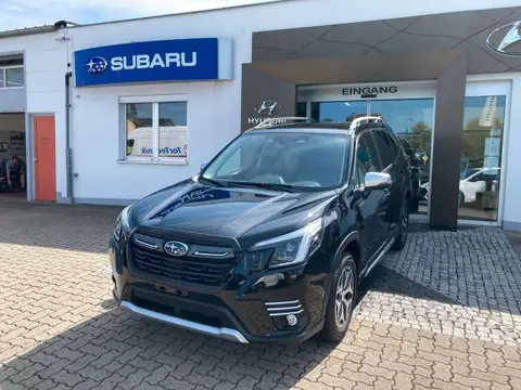 Annonce SUBARU FORESTER Essence 2024 d'occasion 