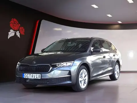 Annonce SKODA OCTAVIA Diesel 2024 d'occasion 