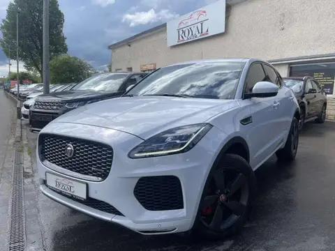 Used JAGUAR E-PACE Diesel 2021 Ad 