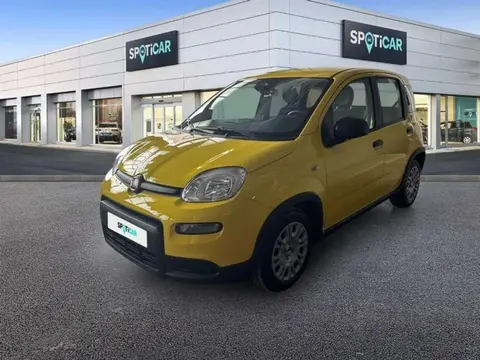 Annonce FIAT PANDA Essence 2024 d'occasion 