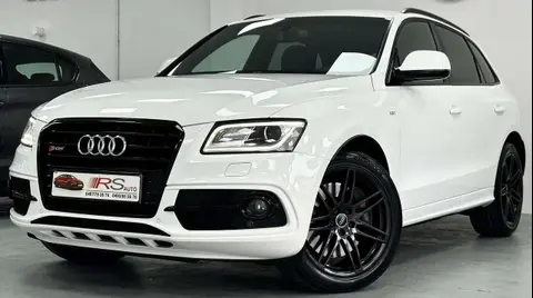 Annonce AUDI SQ5 Diesel 2016 d'occasion 