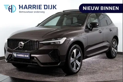 Annonce VOLVO XC60 Hybride 2024 d'occasion 