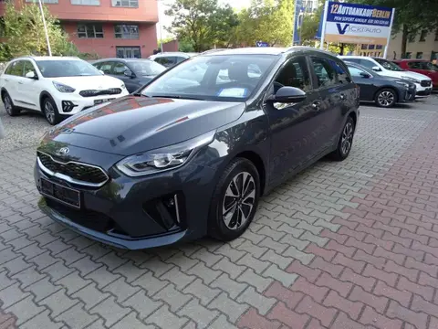 Annonce KIA CEED Hybride 2021 d'occasion 