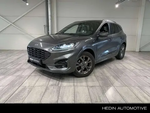 Used FORD KUGA Petrol 2020 Ad 