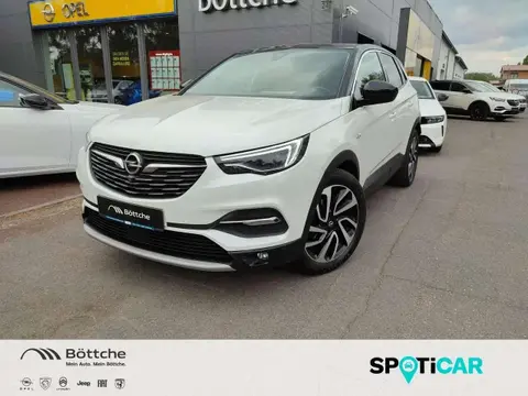 Used OPEL GRANDLAND Petrol 2019 Ad 