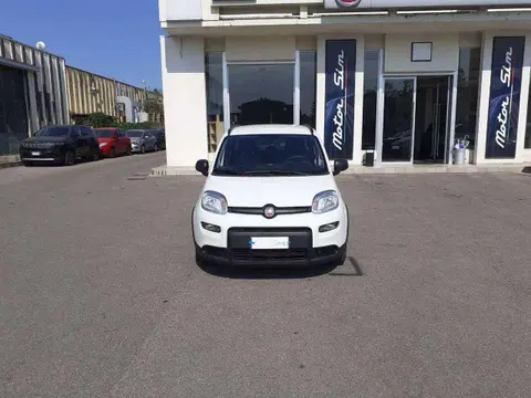 Used FIAT PANDA Hybrid 2022 Ad 