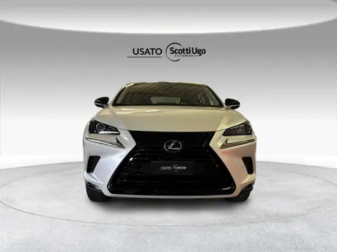 Used LEXUS NX Hybrid 2019 Ad 