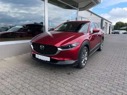 Annonce MAZDA CX-30 Hybride 2023 d'occasion 