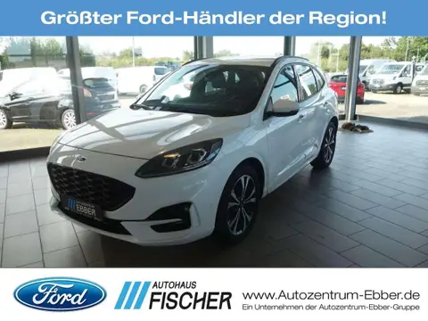 Annonce FORD KUGA Diesel 2024 d'occasion 