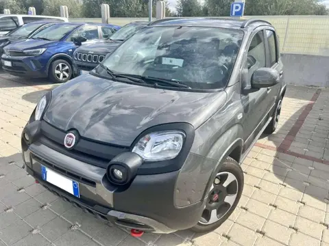 Annonce FIAT PANDA Hybride 2023 d'occasion 