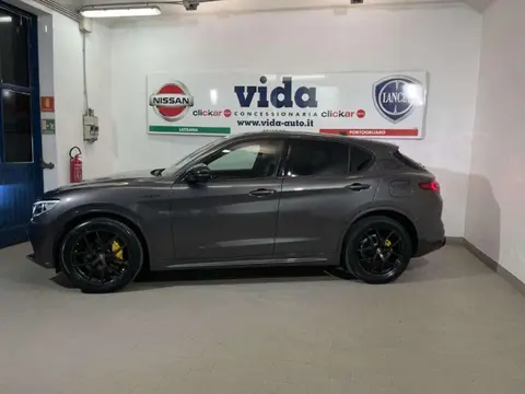 Used ALFA ROMEO STELVIO Diesel 2021 Ad 