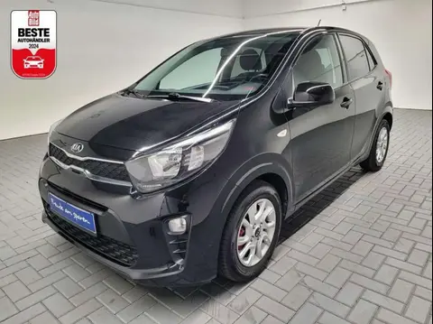 Used KIA PICANTO Petrol 2019 Ad 