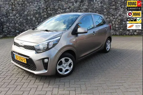 Annonce KIA PICANTO Essence 2019 d'occasion 