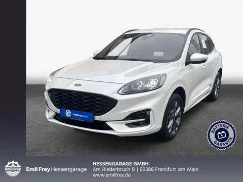 Used FORD KUGA Hybrid 2023 Ad 