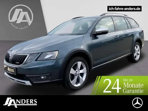 Annonce SKODA OCTAVIA Diesel 2019 d'occasion 