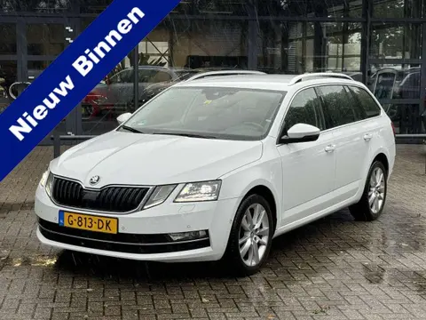 Used SKODA OCTAVIA Petrol 2019 Ad 