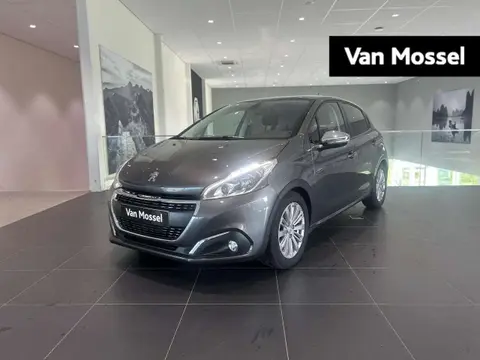 Used PEUGEOT 208 Petrol 2019 Ad 