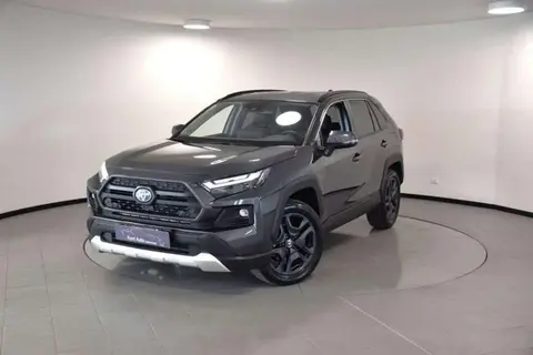 Used TOYOTA RAV4 Hybrid 2023 Ad 