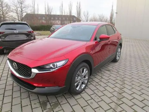 Used MAZDA CX-30 Hybrid 2020 Ad 